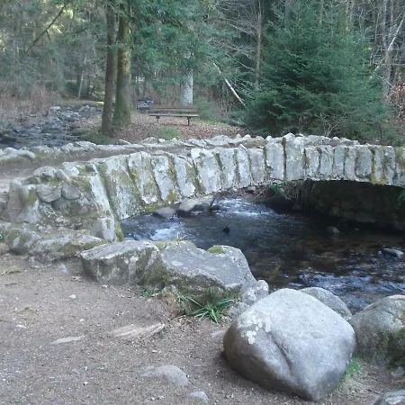 Le Saut Du Cerf Appartamento Gérardmer