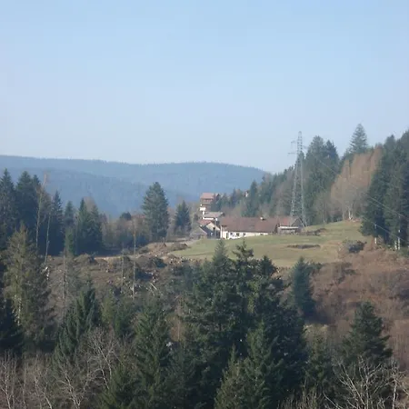 Le Saut Du Cerf *