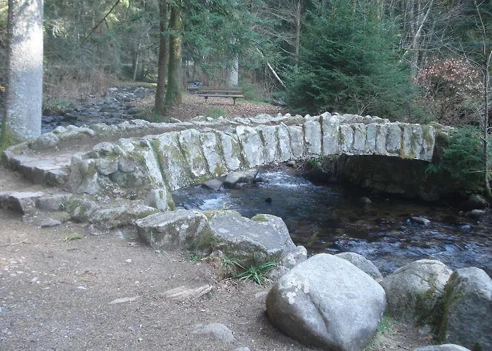 Le Saut Du Cerf Appartamento Gérardmer