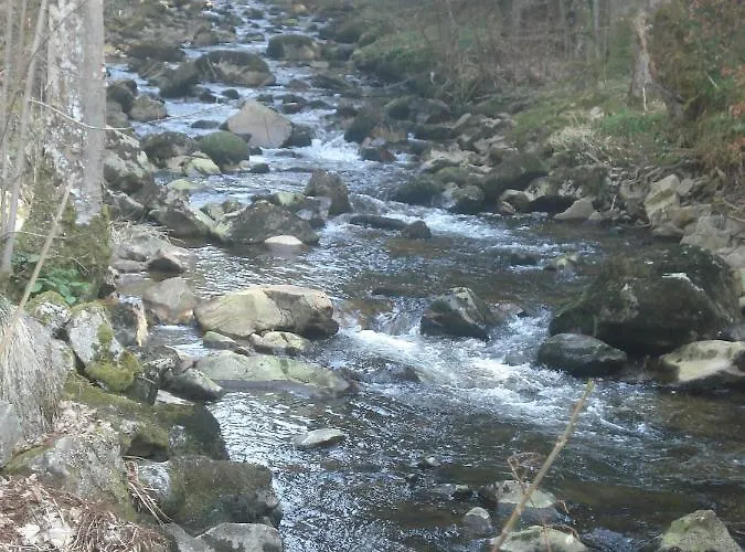 Le Saut Du Cerf Appartamento