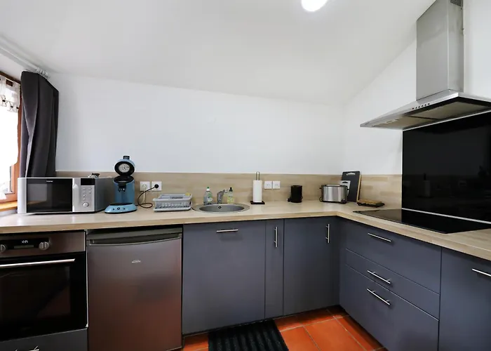 Le Saut Du Cerf * Gérardmer