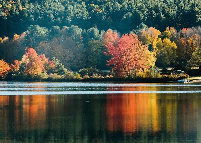 Le Saut Du Cerf * Gérardmer